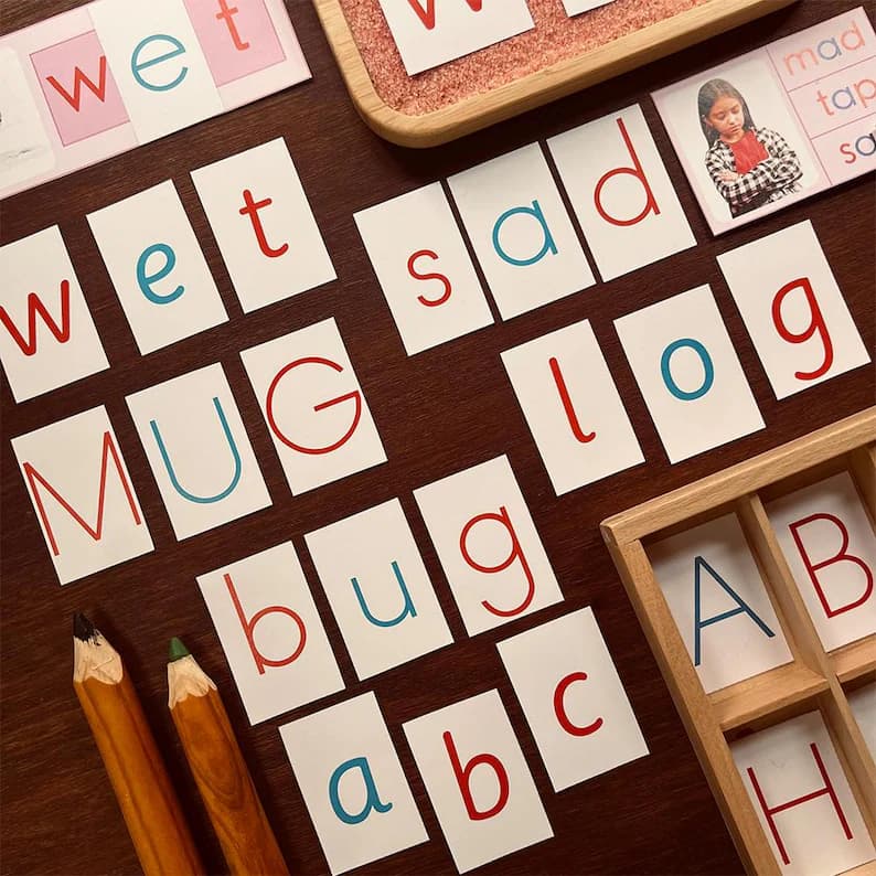MONTESSORI MOVABLE ALPHABET thumbnail 3
