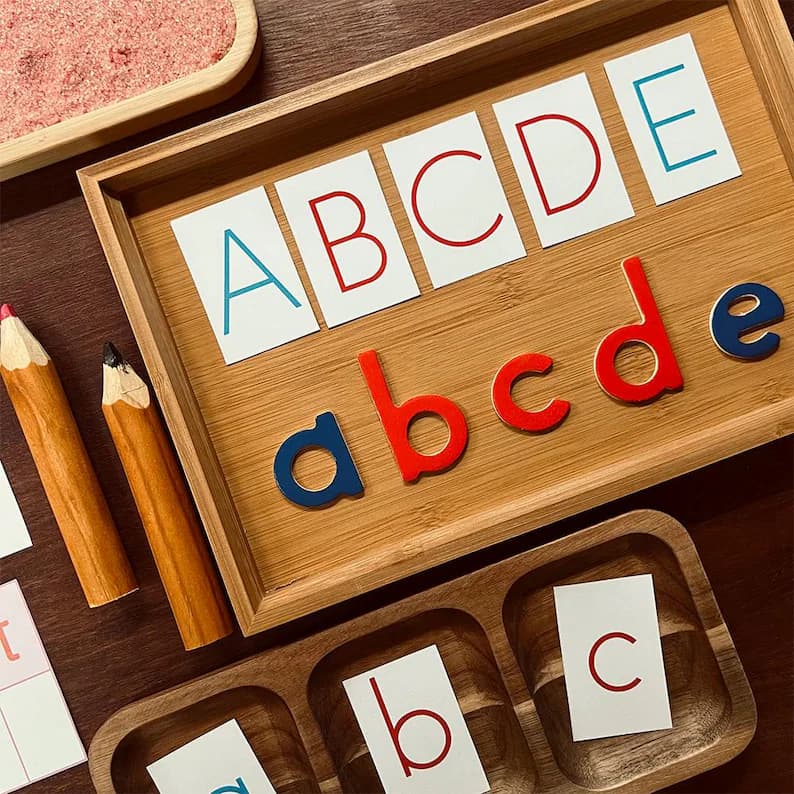 MONTESSORI MOVABLE ALPHABET thumbnail 4